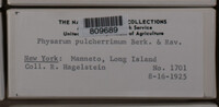 Image Associated With the Occurence